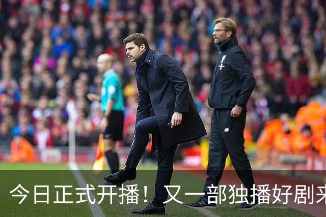 今日正式开播！又一部独播好剧来袭！阵容及题材看点十足